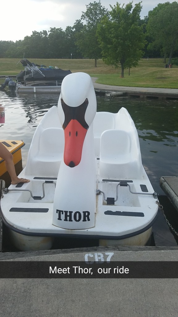 Thor, our swan peddle boat.