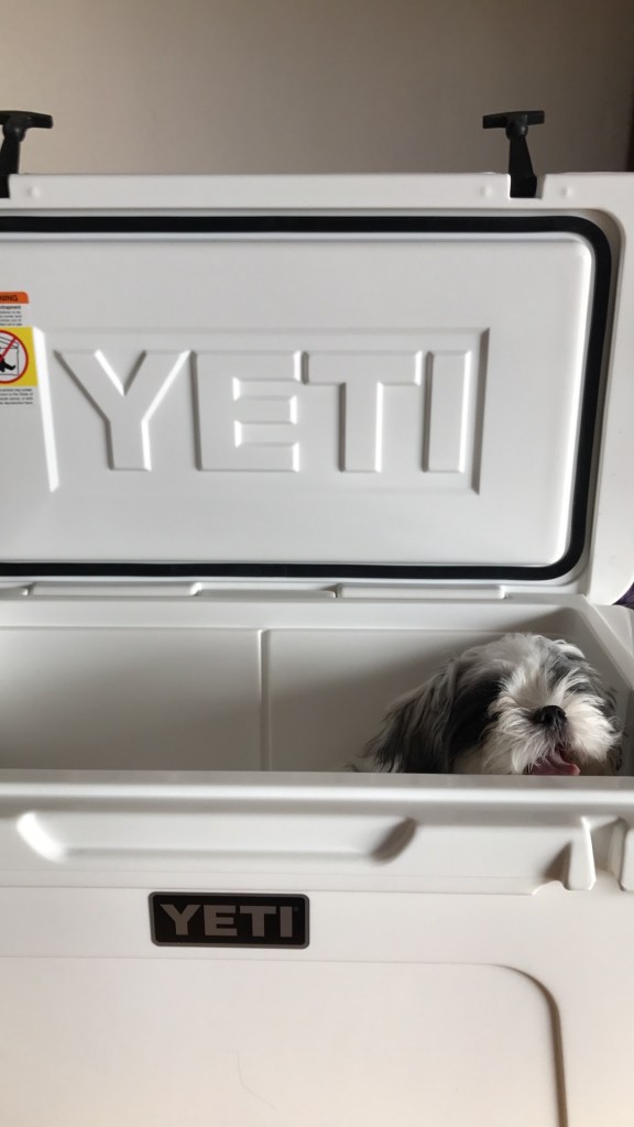 Damian being silly with my dad's Yeti.