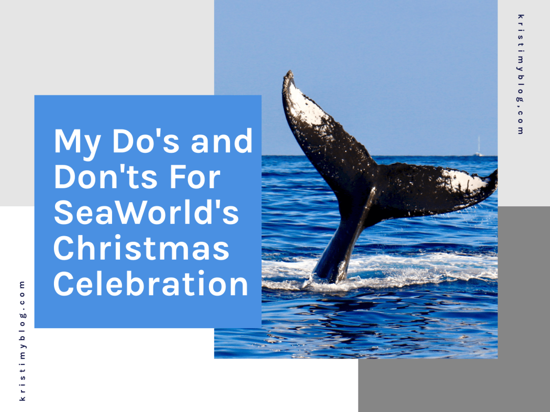 Here are my do's and don'ts for SeaWorld's Christmas Celebration.