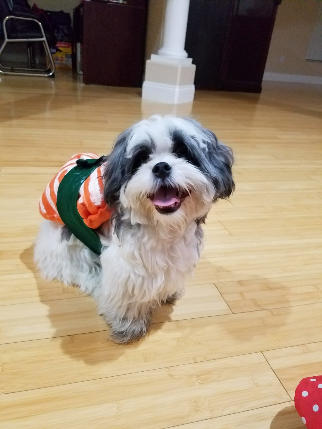 Damian as a Sushi Roll