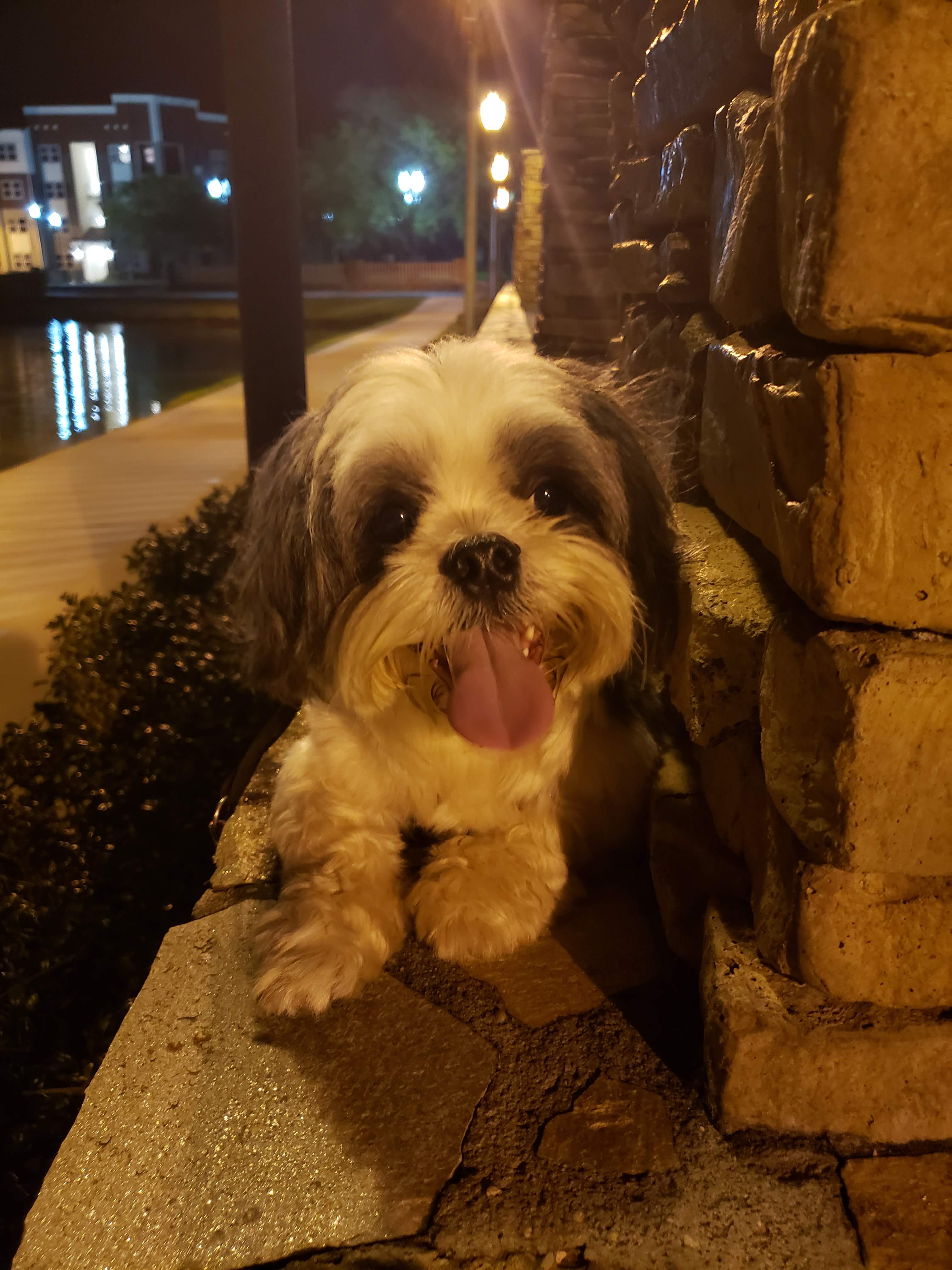 An image of Damian, who always makes me happy. He's the positive light in my life.