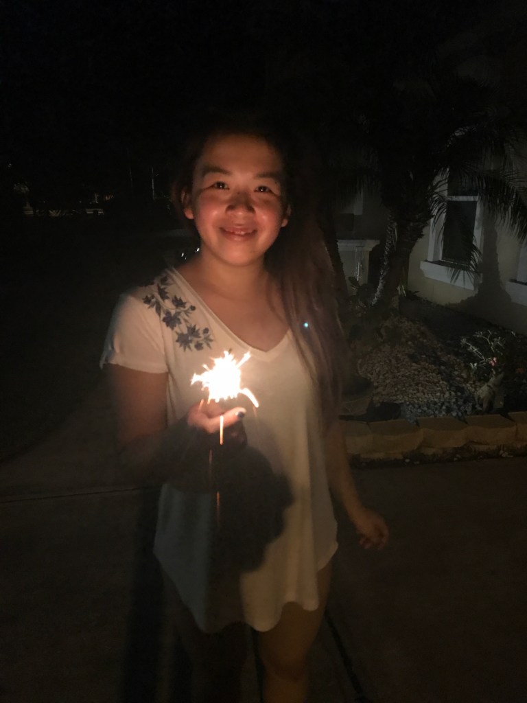 Luckily, sparklers don't make much noise, so they don't scare Damian too badly. As always, I'm sending out the best vibes on a day that we're supposed to celebrate the unity of the USA.