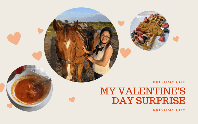 My Valentine's Day Surprise Header Image