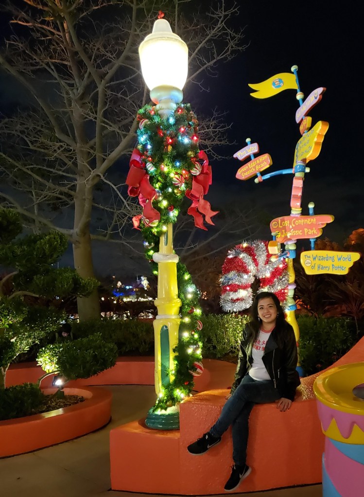 I love the festivities and cheer that the holidays can bring! The bright colors make it even better when you visit the parks. But it can also be very crowded and overwhelming.