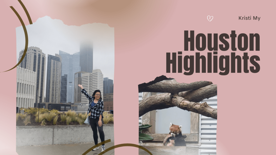 Houston Highlights Header Image