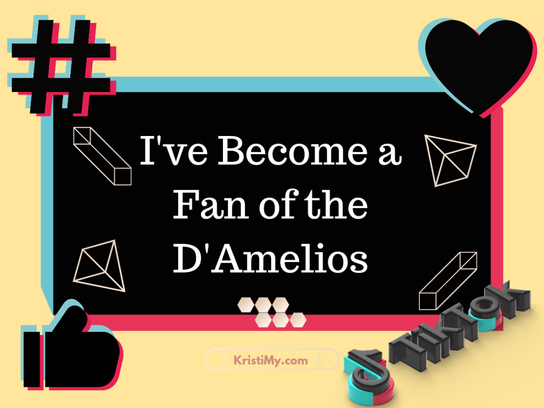 I've Become a Fan of the D'Amelios Header Image