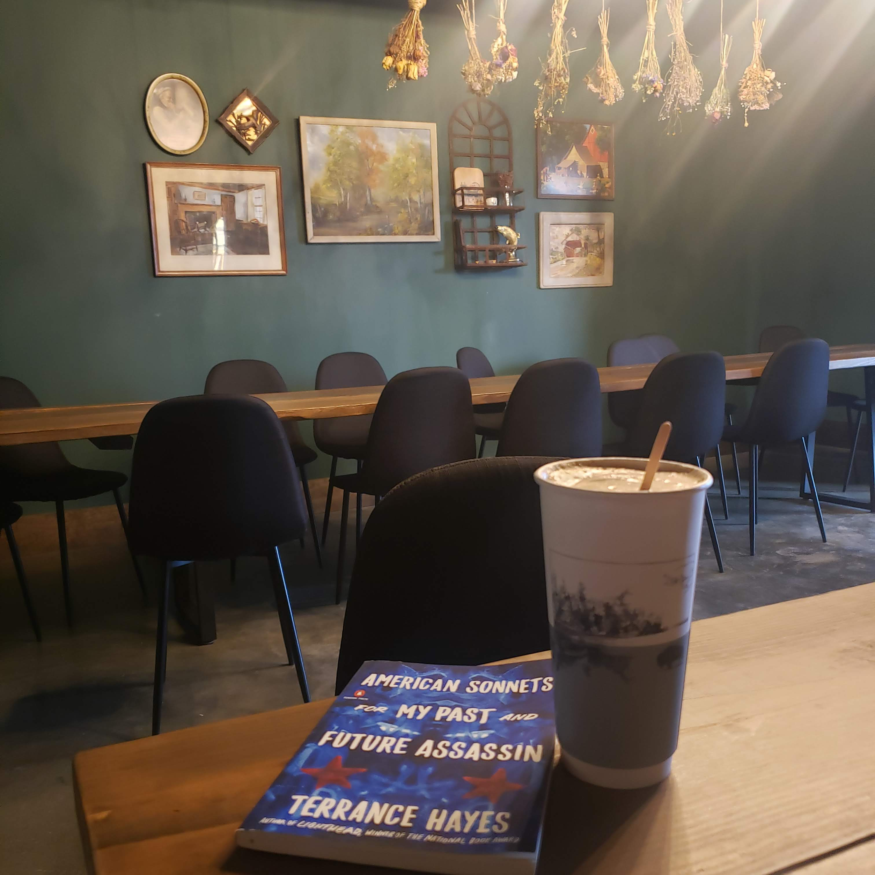 So for class, I'm reading American Sonnets for My Past and Future Assassin by Terrance Hayes, and it is quite the book. I use love letters in the title because it's apparent that Terrance Hayes really loves America and the ideals of the American dream, but this collection shows how hard it is to love something that might not love you back.