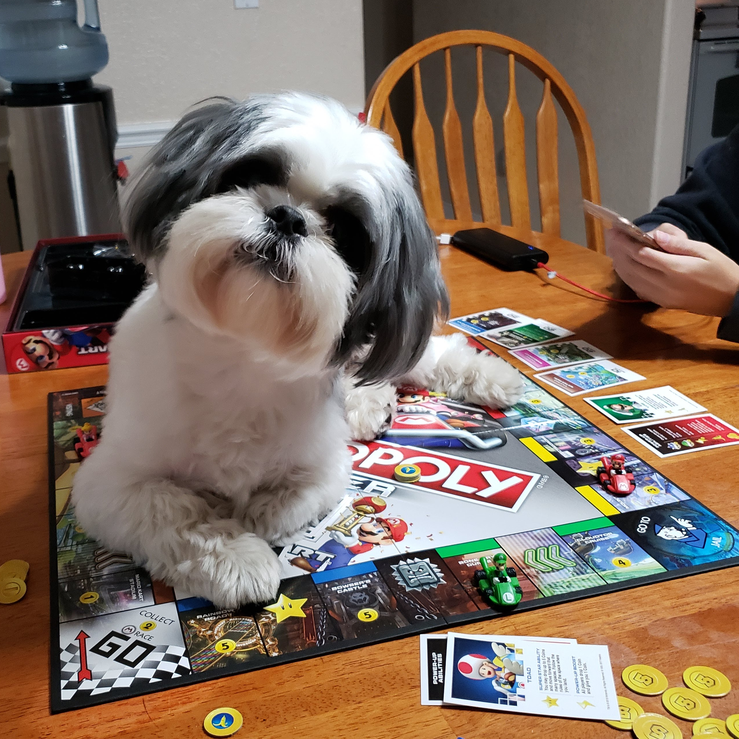 My dog Damian laying on a Mario themed Monopoly board on the dining room table.