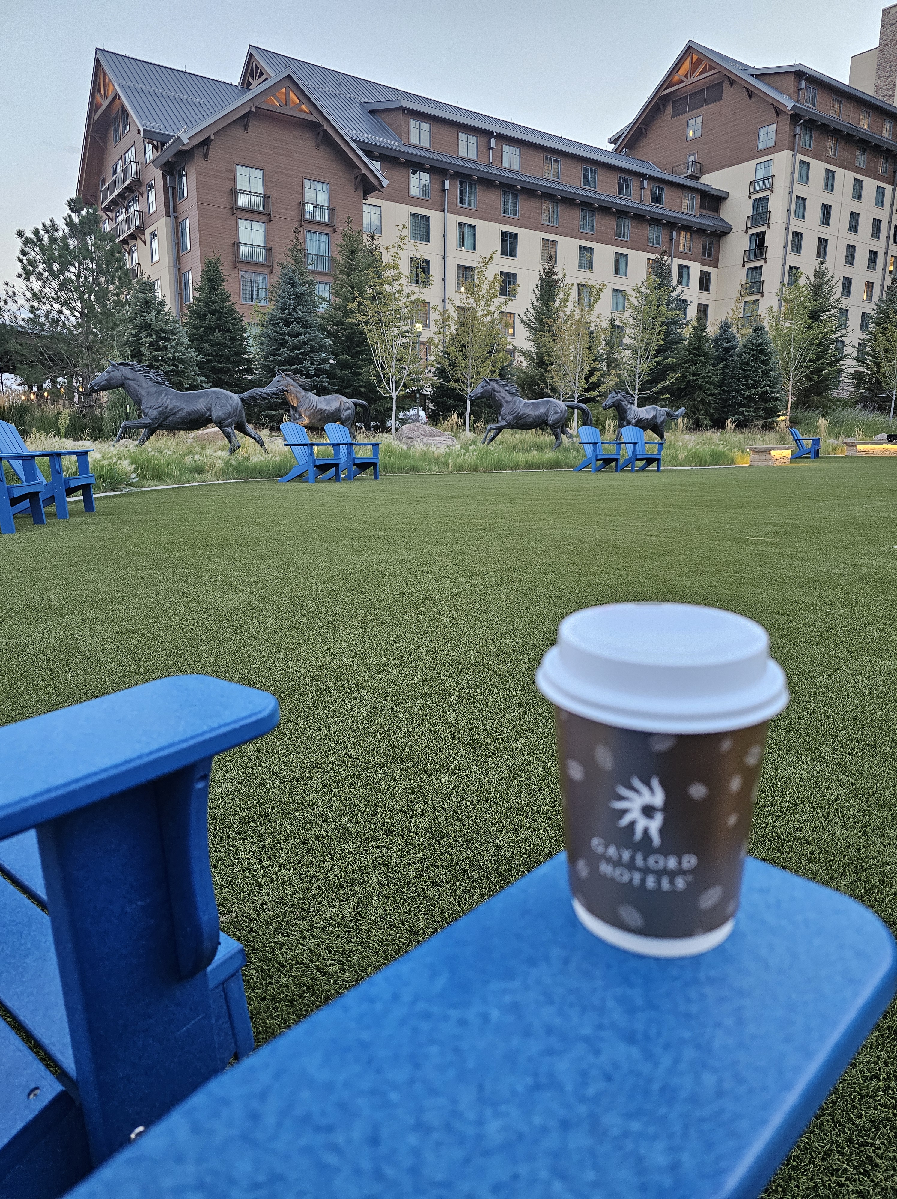 Here's the view from my seat on the front porch of the Gaylord Rockies in Aurora, Colorado. I loved having a warm cup of tea and pretending the horses were just as at peace as I was.