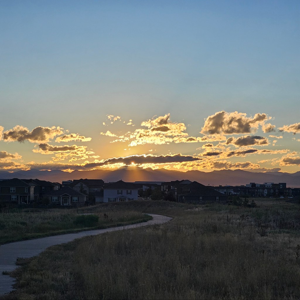 A setting sun hiding behind clouds above some houses.
